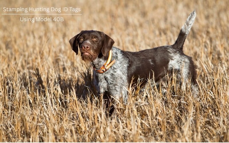 How to Mark ID Tags for Hunting Dogs with the Model 40B