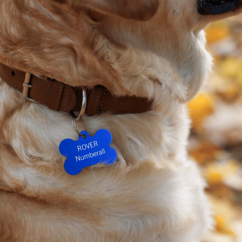 Pet Livestock Industry Stamp Dog Tag